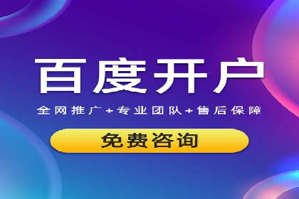 SEM外包策略在电商平台的成功案例